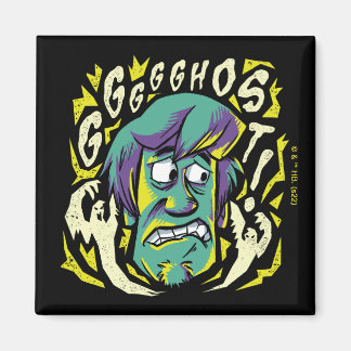 Scooby-Doo | Shaggy Magnet