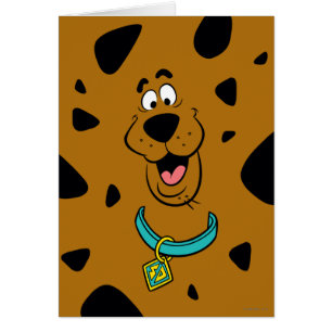 Scooby-Doo Tarnung