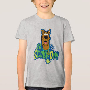 Scooby-Doo Tatzen-Druck-Charakter-Abzeichen Tri-Blend Shirt