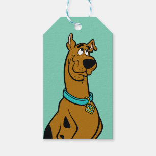 Scooby-Doo Welpen-Augen Geschenkanhänger