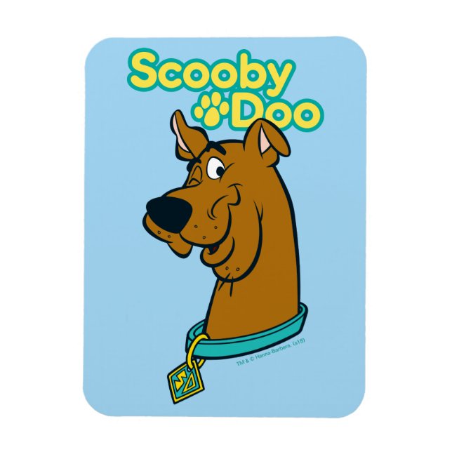 Scooby-Doo Winking Magnet (Vertikal)