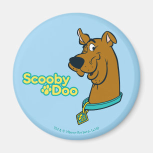 Scooby-Doo Winking Magnet