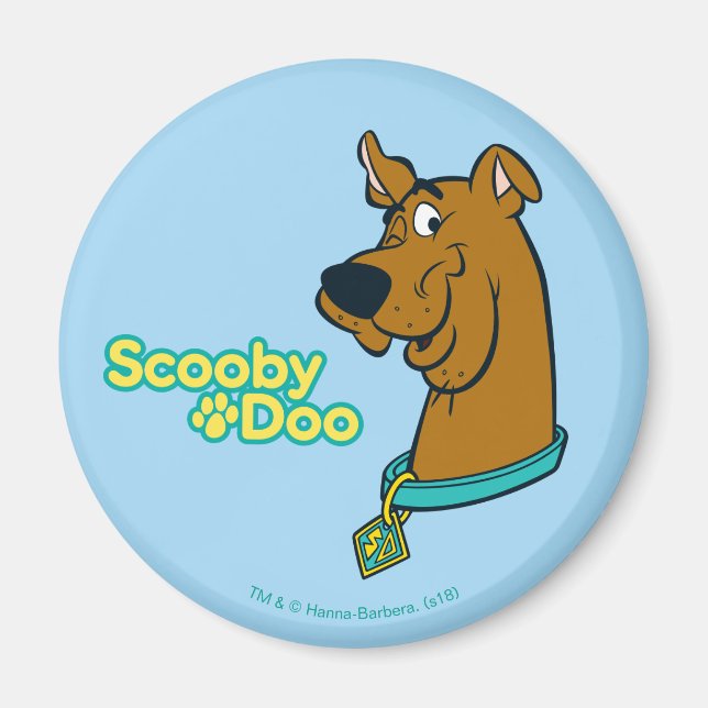 Scooby-Doo Winking Magnet (Vorne)