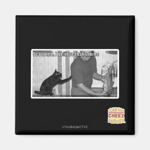 Scooz, ich glaube, das gehört mir magnet