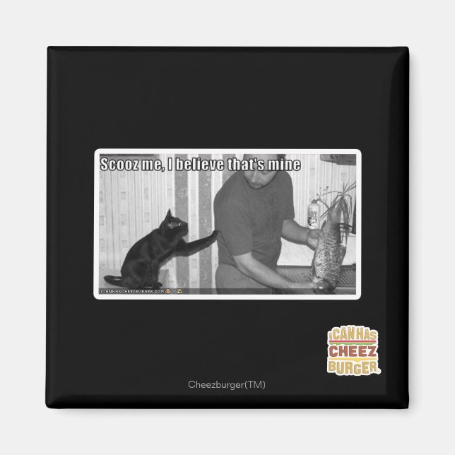 Scooz, ich glaube, das gehört mir magnet (Vorne)