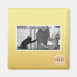 Scooz, ich glaube, das gehört mir magnet