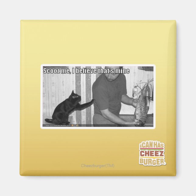 Scooz, ich glaube, das gehört mir magnet (Vorne)