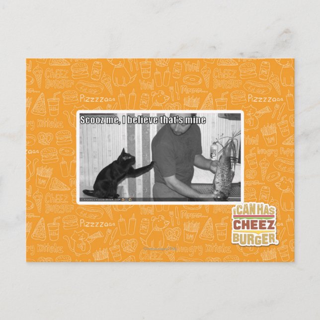 Scooz, ich glaube, das gehört mir postkarte (Vorderseite)
