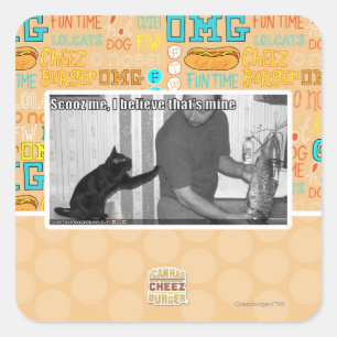 Scooz, ich glaube, das gehört mir quadratischer aufkleber