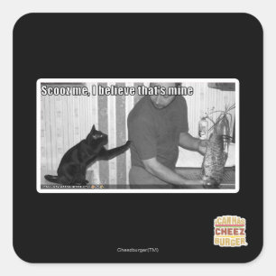 Scooz, ich glaube, das gehört mir quadratischer aufkleber