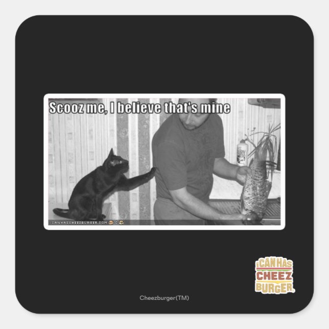 Scooz, ich glaube, das gehört mir quadratischer aufkleber (Vorderseite)
