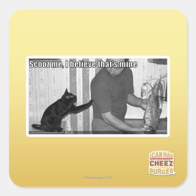 Scooz, ich glaube, das gehört mir quadratischer aufkleber (Vorderseite)