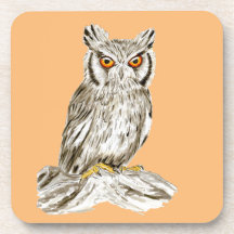 Scopes Owl Bird Illustration
