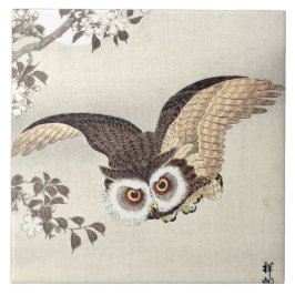 Scopes Owl, Kirschblüten & Mond Japanisch Fliese