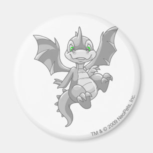 Scorchio Silber Magnet