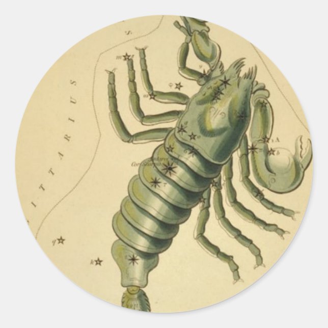 Scorpio-Aufkleber Runder Aufkleber (Vorderseite)