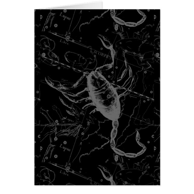 Scorpio Constellation Hevelius 1690 auf Schwarz (Vorne)