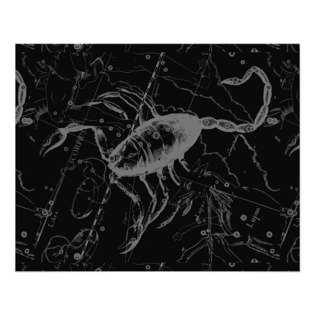 Scorpio Constellation Hevelius 1690 auf Schwarz Fotodruck (Vorne)