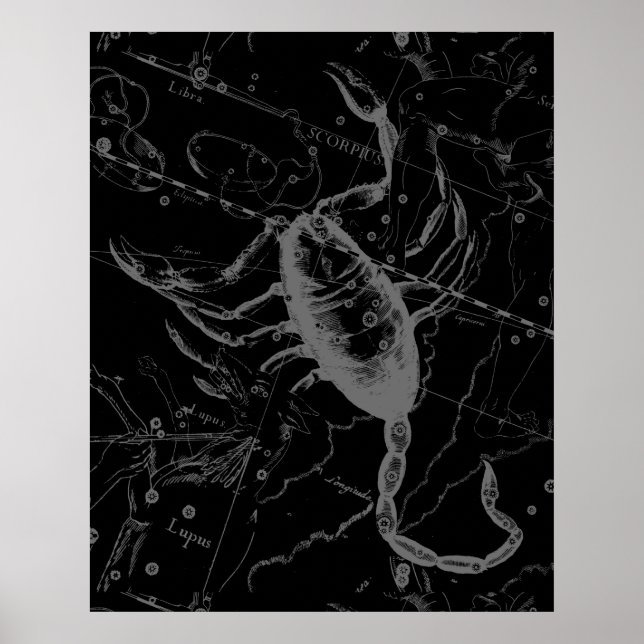 Scorpio Constellation Hevelius 1690 auf Schwarz Poster (Vorne)
