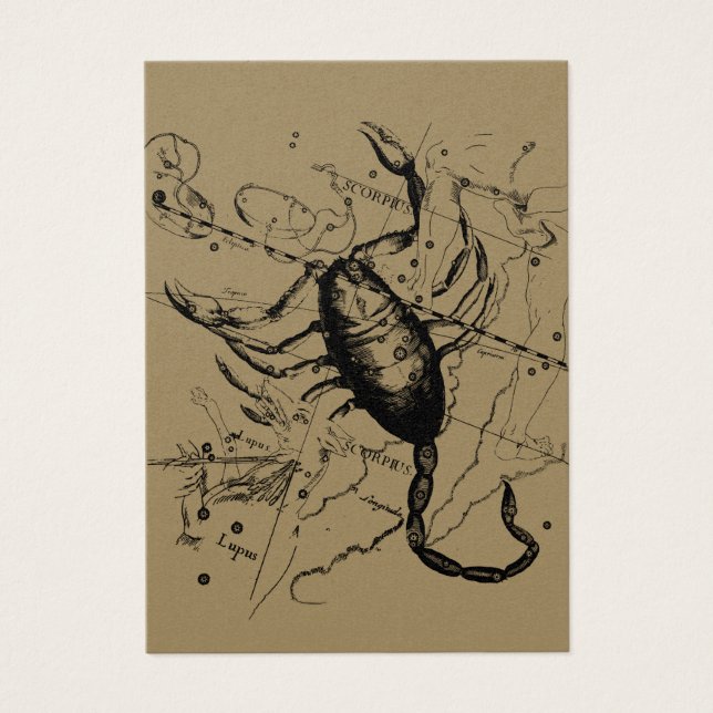 Scorpio Constellation Hevelius 1690 Dekor (Vorderseite)
