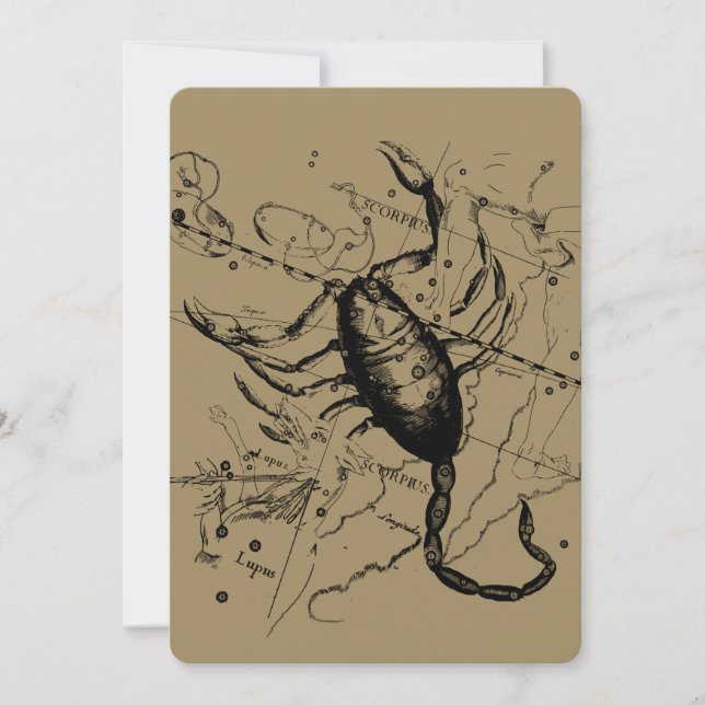 Scorpio Constellation Hevelius 1690 Dekor (Vorderseite)