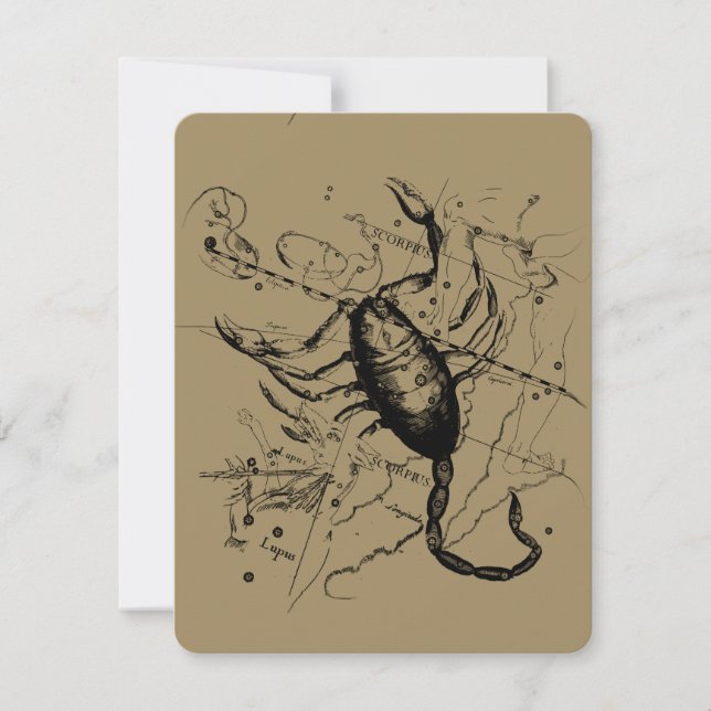 Scorpio Constellation Hevelius 1690 Dekor (Vorderseite)