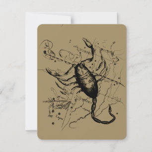 Scorpio Constellation Hevelius 1690 Dekor
