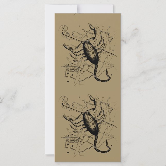 Scorpio Constellation Hevelius 1690 Dekor (Vorderseite)