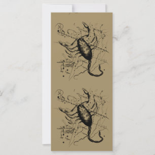 Scorpio Constellation Hevelius 1690 Dekor