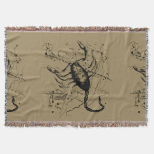 Scorpio Constellation Hevelius 1690 Dekor Decke