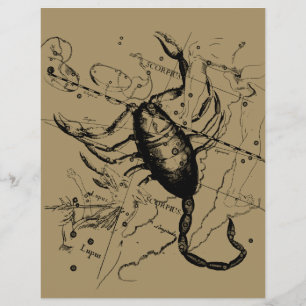 Scorpio Constellation Hevelius 1690 Dekor Flyer