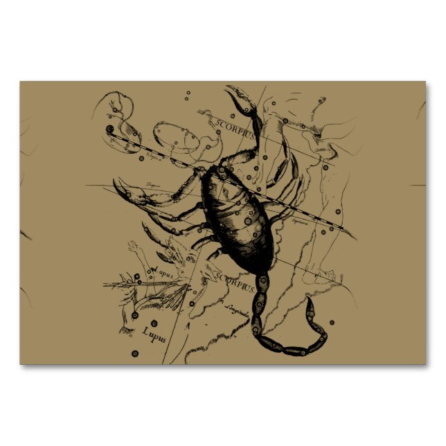Scorpio Constellation Hevelius 1690 Dekor Tischnummer (Vorderseite)