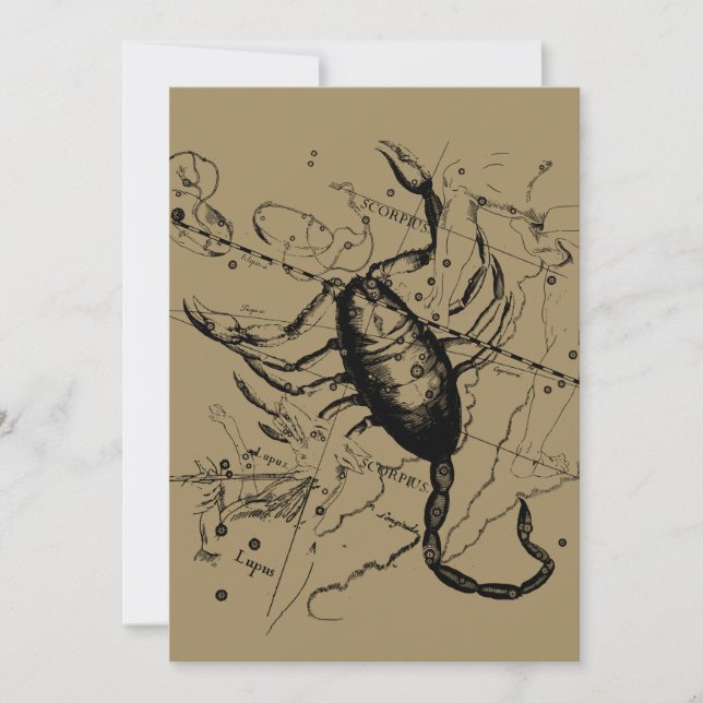 Scorpio Constellation Hevelius 1690 Okt23 - Nov 21 (Vorderseite)