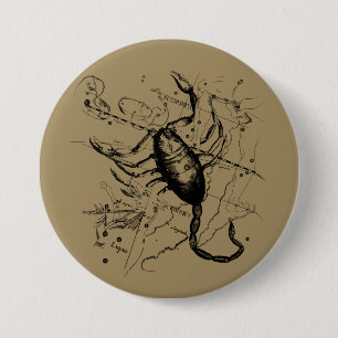 Scorpio Constellation Hevelius circa 1690 Vintag Button