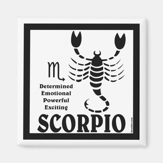 Scorpio Magnet (Vorne)
