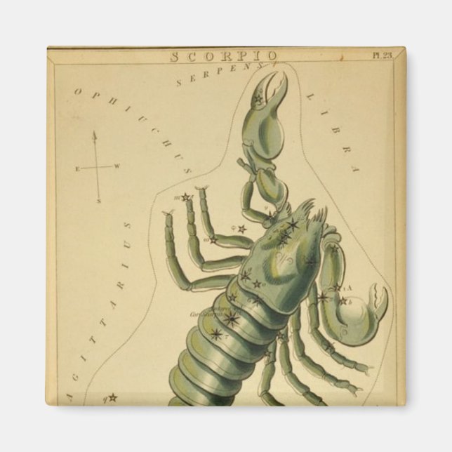 Scorpio Magnet (Vorne)