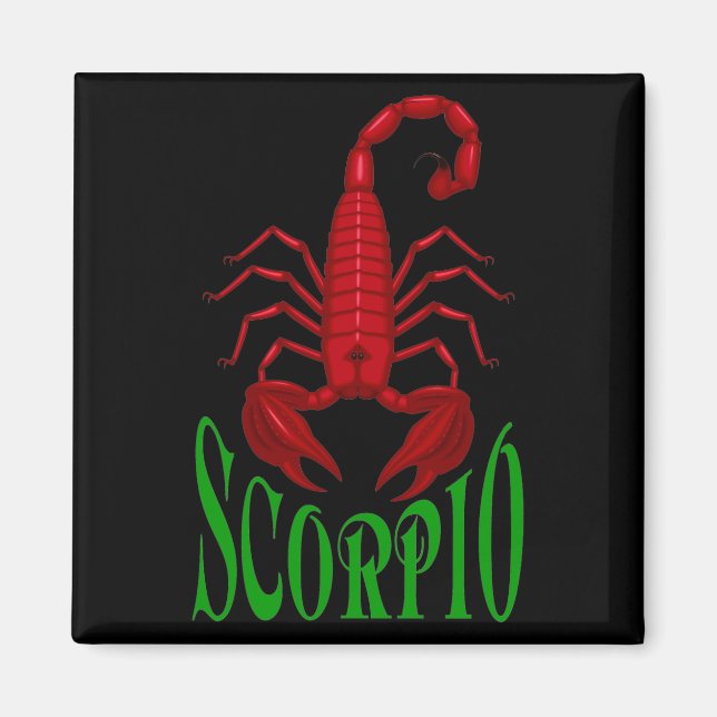 Scorpio Magnet (Vorne)