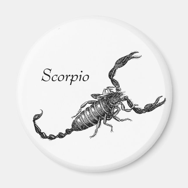 Scorpio Magnet (Vorne)