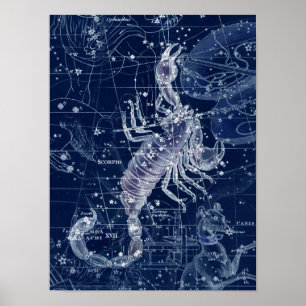 Scorpio Zodiac Signierung Vintage Illustration Poster