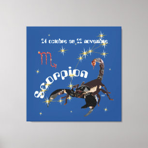 Scorpion 24 oct. au 22 nov. Impression sur toile Leinwanddruck