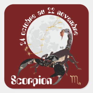Scorpion 24 octobre au 22 novembre Autocollant Quadratischer Aufkleber