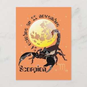 Scorpion 24 octobre au 22 novembre Cartes postales Postkarte