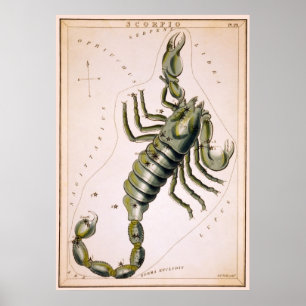 SCORPION SCORPIO KONSTELLATION 1825 POSTER