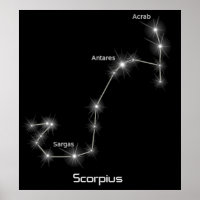 Scorpius Constellation Scorpio Zodiac Business