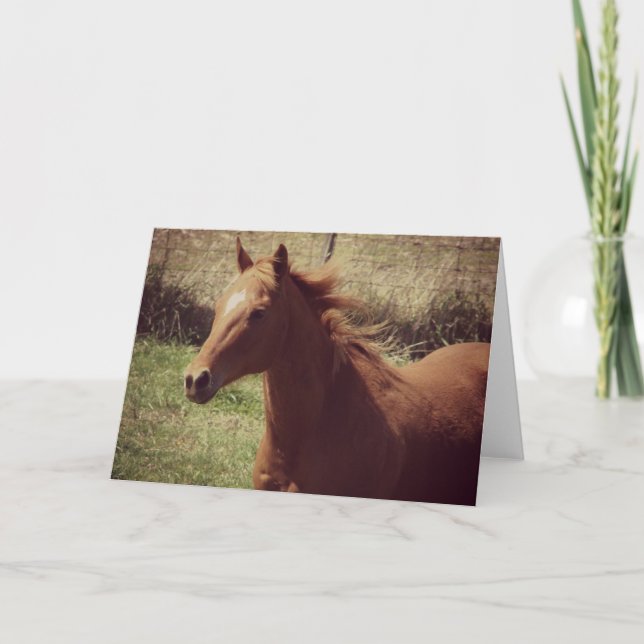 Scotch in Motion jedes Anlasses Karte (Vorderseite)