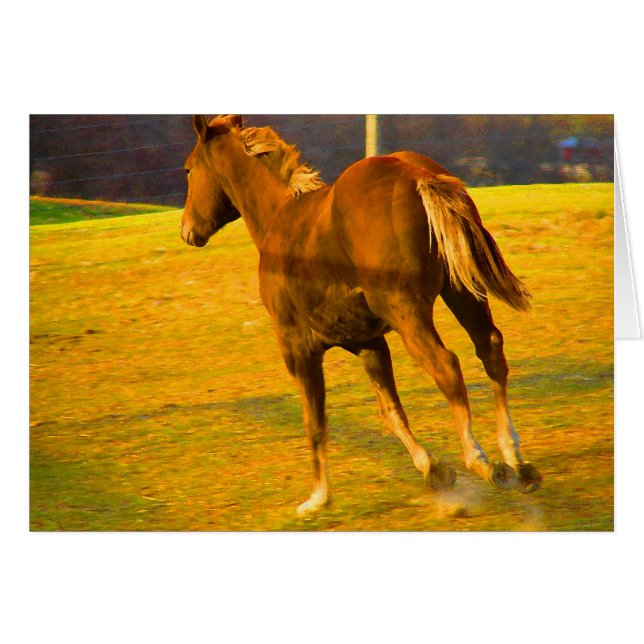 Scotch Run~ Ölgemälde (Vorderseite (Horizontal))