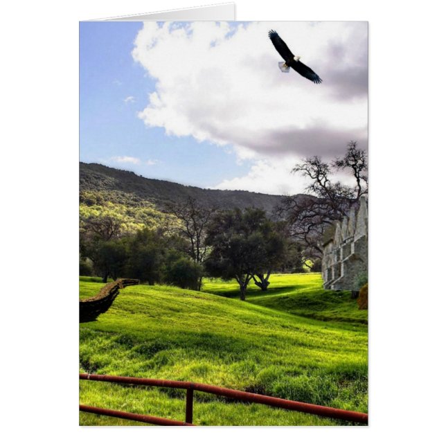 Scotland Yard (Vorne)