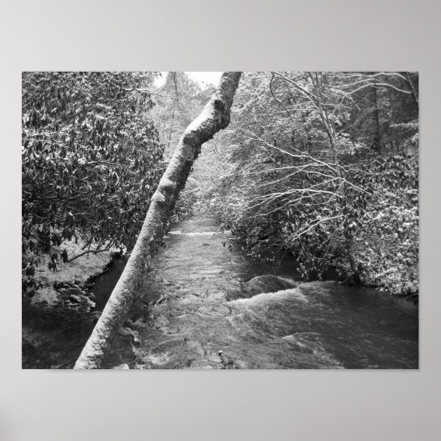 Scott Creek Poster (Vorne)
