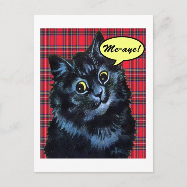 Scott Independence Tartan Cat Lover Postcard Postkarte (Vorderseite)