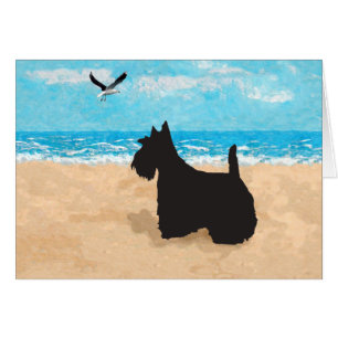 Scottie am Strand mit Möwe